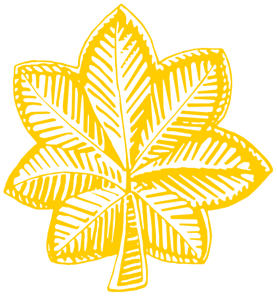The image shows a stylized illustration of an oak leaf with veins highlighted by yellow lines against a black background on one side and white space next to it.