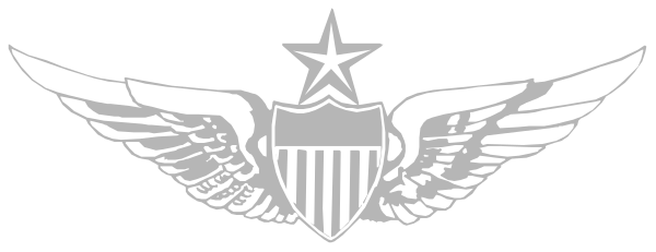 The image shows a logo with an eagle's head on top of wings that have stars attached to them; below this emblem is text reading "USA" in capital letters followed by what appears to be a shield-like design and additional decorative elements, all set against a plain background.