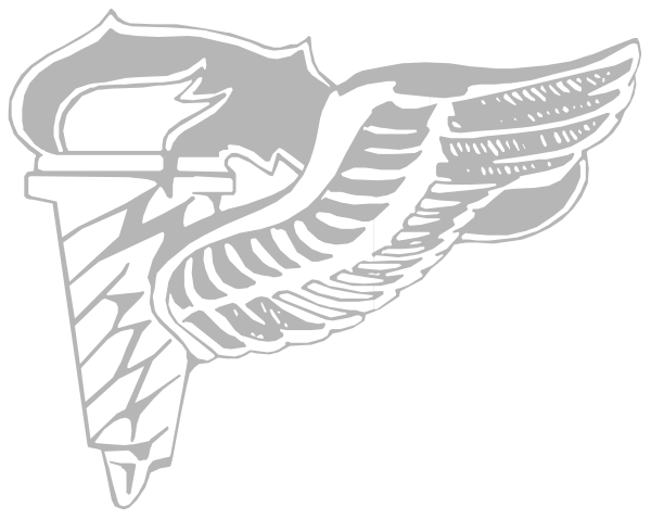 The logo of a winged symbol with wings spread out on either side above it.