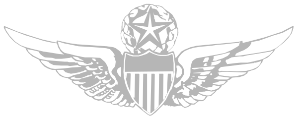 The image shows a stylized eagle with wings spread wide against an American flag background on what appears to be a badge-like design featuring stars at each corner of its border.