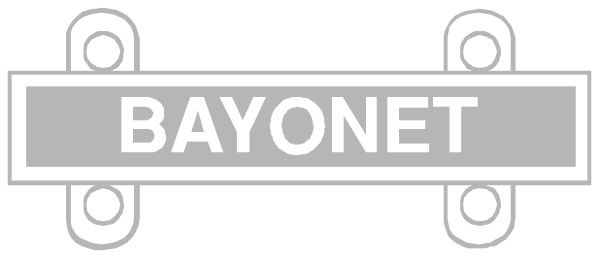 The image shows a skateboard with text that reads "BAYONET" on it against a plain background.