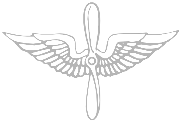 The image shows a logo with an eagle's head on top of what appears to be wings, symbolizing flight or aviation; below this emblem is another element that looks like a compass rose, which typically represents navigation and direction in nautical contexts.