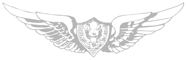 The image shows a logo with an eagle's head on top of wings, featuring what appears to be a shield in its chest area; there is no text present within this small clip-art graphic.