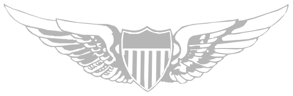 The image shows a logo with an eagle's head on top of what appears to be wings; below it is a shield-like design featuring stars around its perimeter and stripes across the center.
