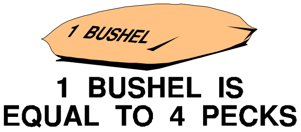 The image shows a black and white photo of an airplane with text that reads "1 BUSHEL."