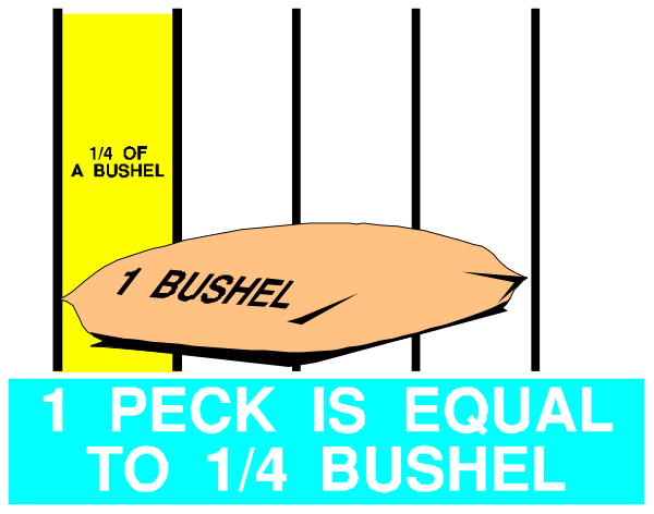 The image shows a text that reads "1 PEEK IS EQUAL TO 1 BUSHEL" with an arrow pointing to one of two bushels labeled 'PEEK' on either side, indicating equivalence between them; it is set against a black background and appears to be part of some sort of educational or informational material. The text "BUSHELS PER PEEK IS 1/4" suggests that the image might relate to agricultural practices such as measuring grain yields in bushels per peck, which could imply farming context. There are no