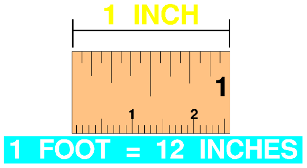 The image shows a ruler with measurements for feet (12 inches) at 0 to 36 inches from an unseen point of reference labeled "foot." It also indicates that there is one foot between two lines marked as "inch" and another line marking "feet," which corresponds to the number twelve. The background appears plain, with no additional context or objects present in this clip-art image.