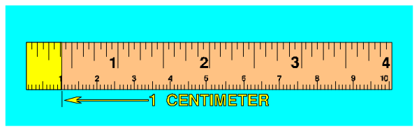 The image shows a ruler with measurements on it placed inside an aquarium tank filled with water.