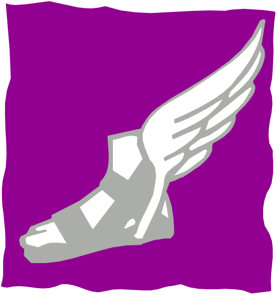 The image shows a purple flag with an emblem of a white winged shoe on it against a black background.
