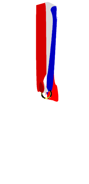 The image shows a red flag with white text on it being held by an unseen person against a black background.