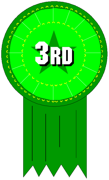 The image shows a green ribbon with "3rd" written on it next to an award medal that has three stars around its center.