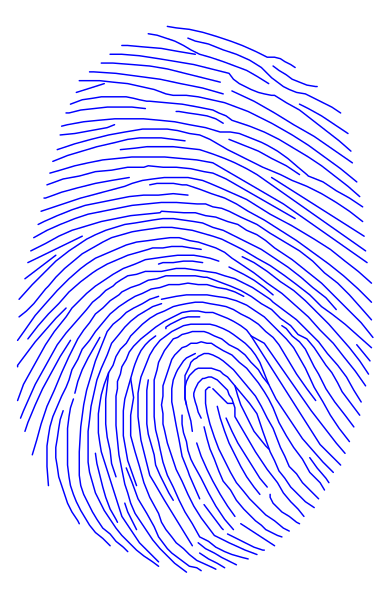 The image shows a blue fingerprint pattern on top of an actual grayish brown human thumb print with ridges against a white background.