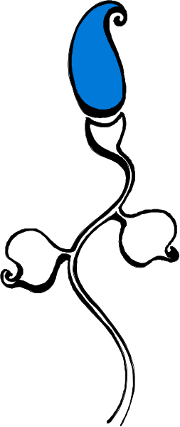 The image shows a blue sperm with two tails swimming upwards against a white background.