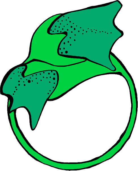 The image shows a green leaf with two holes on either side of it against a white background.