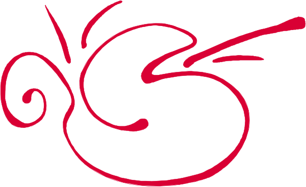 The image shows a red cursive signature with swirl designs on it against a white background.
