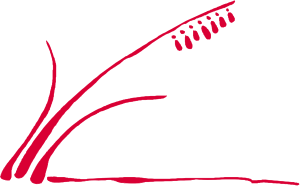 The image shows a red stylized plant with green leaves against a white background.