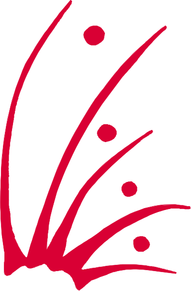 The image shows a red abstract design with white dots on it against a gray background.