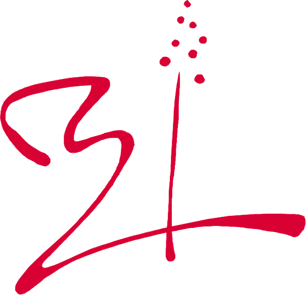 The image shows a red logo with Chinese characters that appear to be stylized as if made of dots forming an abstract design above them.