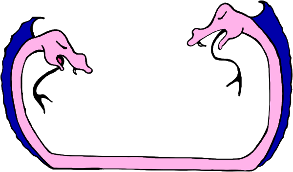 The image shows a simple line drawing of two snakes intertwined with each other on an oval background that resembles water.