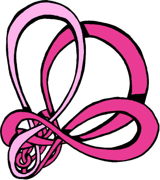 The image shows a pink swirl with two loops intertwined against a white background.