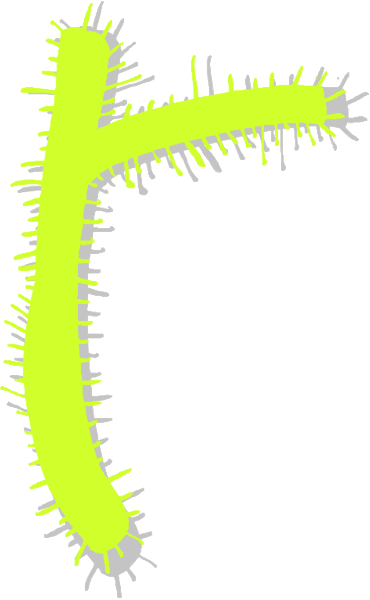 The image shows a simple illustration of two green spiky plants with yellow tips against a white background on the left side; there is also an abstract representation resembling a letter 'T' in black, outlined by thin lines and filled with small dots or points that are colored neon lime.