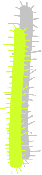 The image shows a vertical strip with alternating black and white sections on either side of an orange line that has yellow spikes along its length.