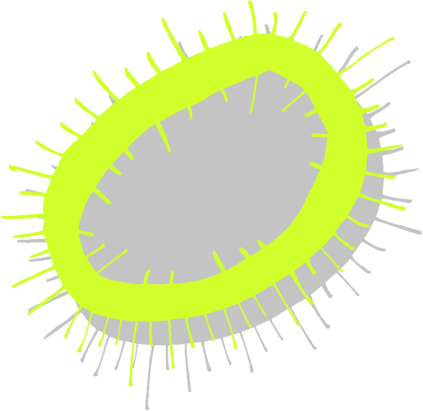 The image shows a stylized representation of an eye with yellow pupils on top of what appears to be a green iris against a white background.