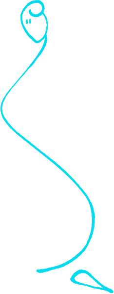 The image shows a blue handwritten cursive signature on white paper with black lines forming an abstract design resembling a snake in front of it.