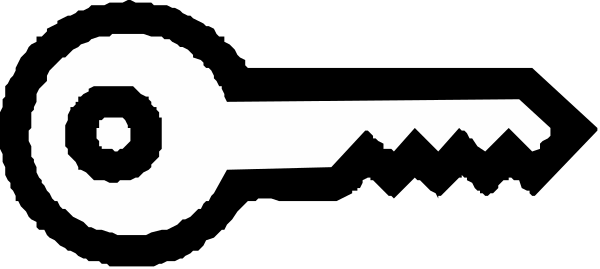 The image shows a key with two keys inserted into it against a gray background.