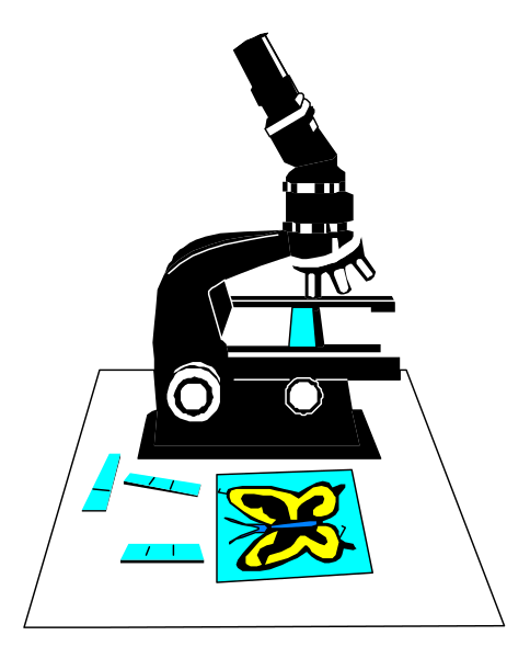 The black and white illustration shows a microscope with an open drawer on top of it displaying various items including what appears to be butterflies in different stages of life cycles, possibly indicating scientific research related to insects' developmental processes within this particular setting or context.