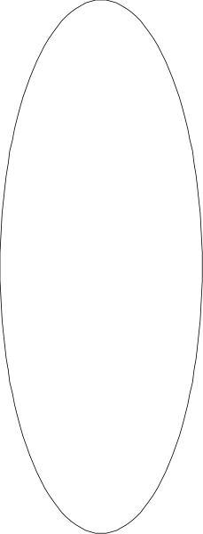 The image shows a simple black and white line drawing of an oval shape with two lines crossing through it from opposite directions to create four quadrants within its boundary.