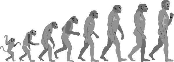 The image shows a sequence of nine cartoon monkeys walking from left to right with various expressions on their faces; each is distinctly differentiated by its posture and facial expression as it moves through this progression, suggesting evolutionary change over time.