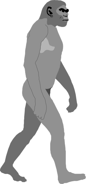 The image shows a gray cartoon of an anthropomorphic gorilla walking on two legs with its arms hanging down by its sides in what appears to be a stylized urban environment.