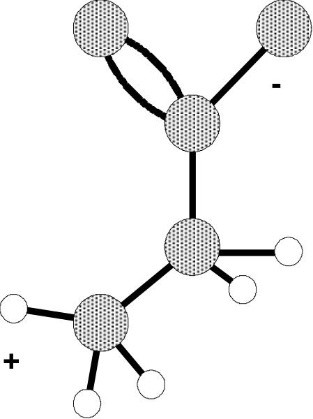 The black and white photo shows a pattern of circles with dots inside them arranged on what appears to be a grid-like background.