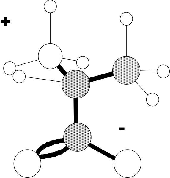 The image shows a black background with white circles of varying sizes scattered across it; there is no text present within this clip-art piece.