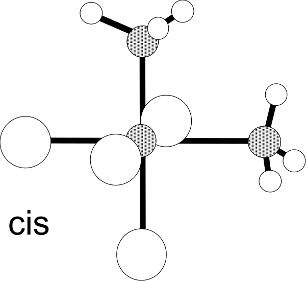 The black and white image shows a collection of circular shapes with varying sizes scattered across it against a dark background.