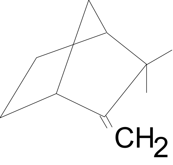 The image shows a black triangle with white edges against a dark background.