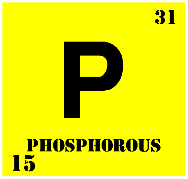 The image shows a periodic table with an atom symbol for phosphorus (P) highlighted by being enclosed within parentheses labeled "Phosphorous."