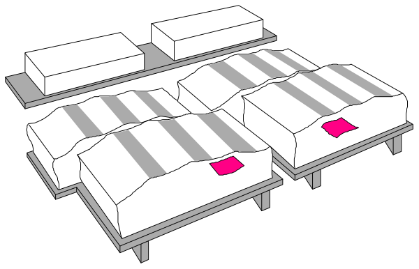 The image shows a collection of beds with different designs on them arranged together against a black background.