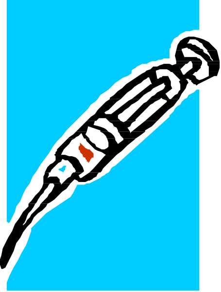 The image shows a blue bird with an orange beak flying over water against a gray sky background.