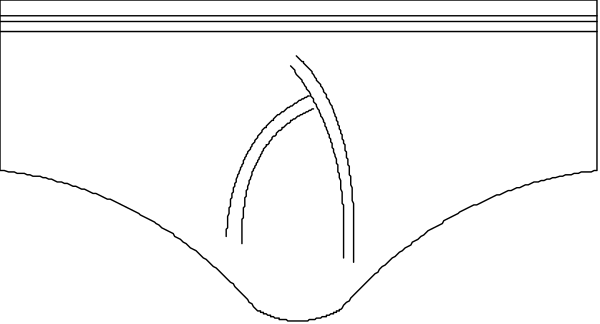 The image shows a pair of underwear with an unusual design that resembles a house on it.