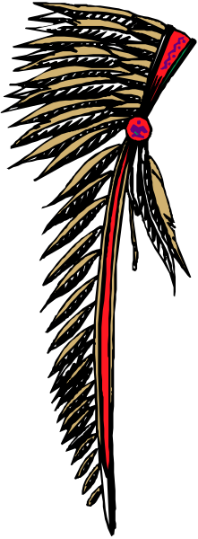 The image shows a feather with red detailing on it against a gray background.