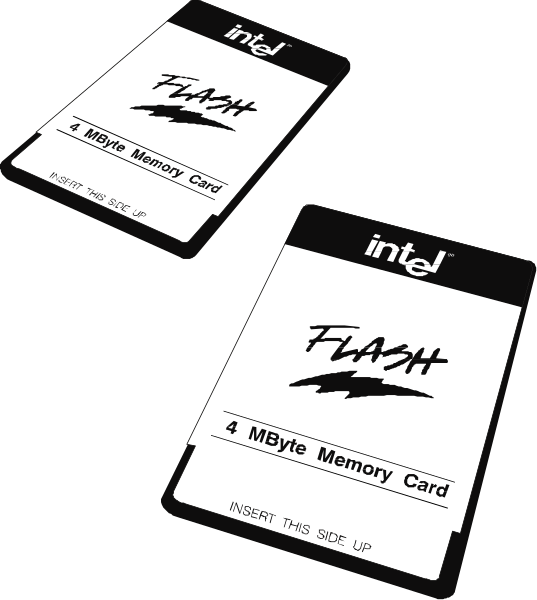 The image shows two Intel flash drives with labels that read "FLASH" on them against a black background.