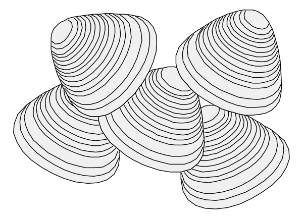 The black and white illustration shows a collection of seashells with varying shapes and sizes arranged together on what appears to be sandy ground.