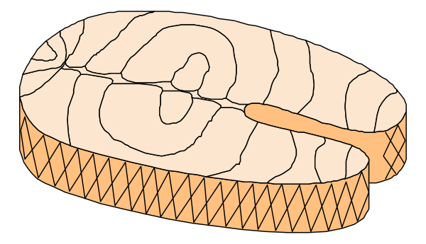 The image shows a slice of bread with an orange filling on top placed against a black background.