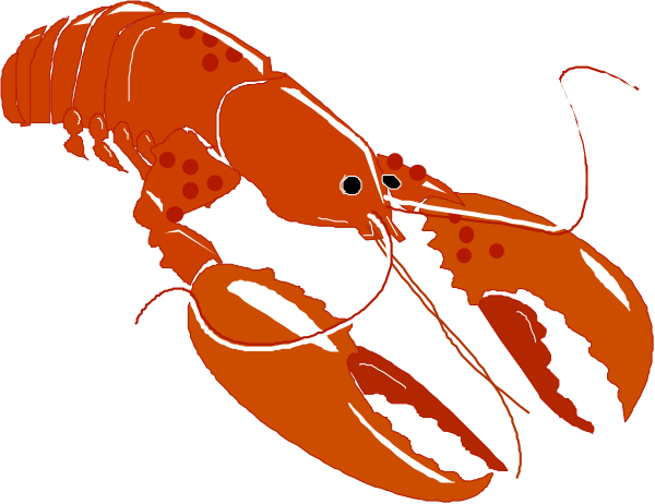 The image shows a red lobster with white spots on its shell against a black background.