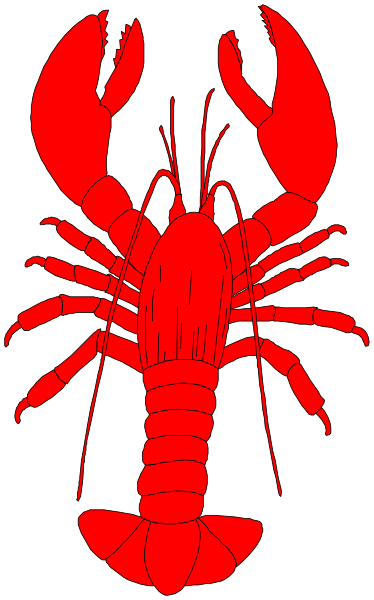 The image shows a red lobster with its claws spread out against a black background.