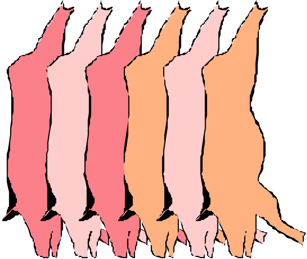 The image shows a sequence of five pigs with different shades from pink to orange, each pig is standing on its hind legs in front of another pig that appears smaller due to perspective distortion created by this arrangement.