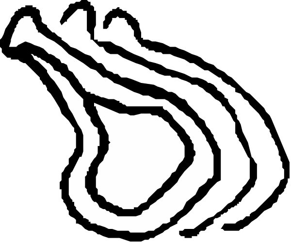 The black and white logo of a company that sells spices with an illustration of a bottle shaped like a pepper shaker in front of it.