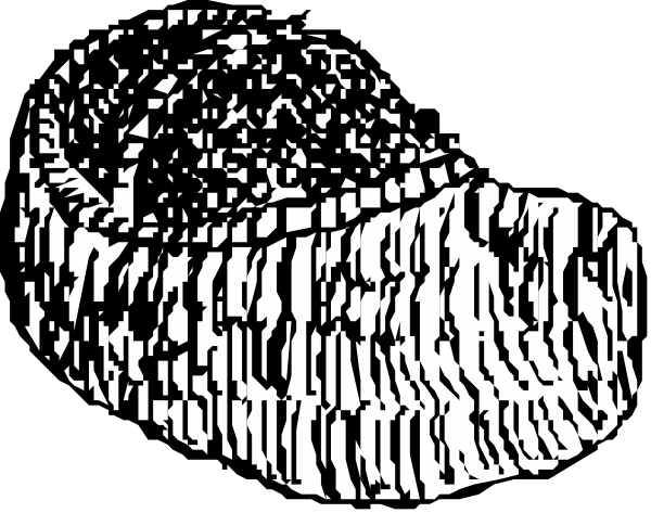 The black and white photo shows a pair of shoes with textured soles placed on top of each other against an indistinct background that appears to be made up of smaller images within it.
